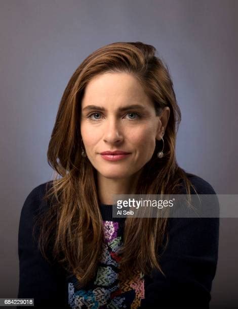 12,649 Amanda Peet Photos & High Res Pictures